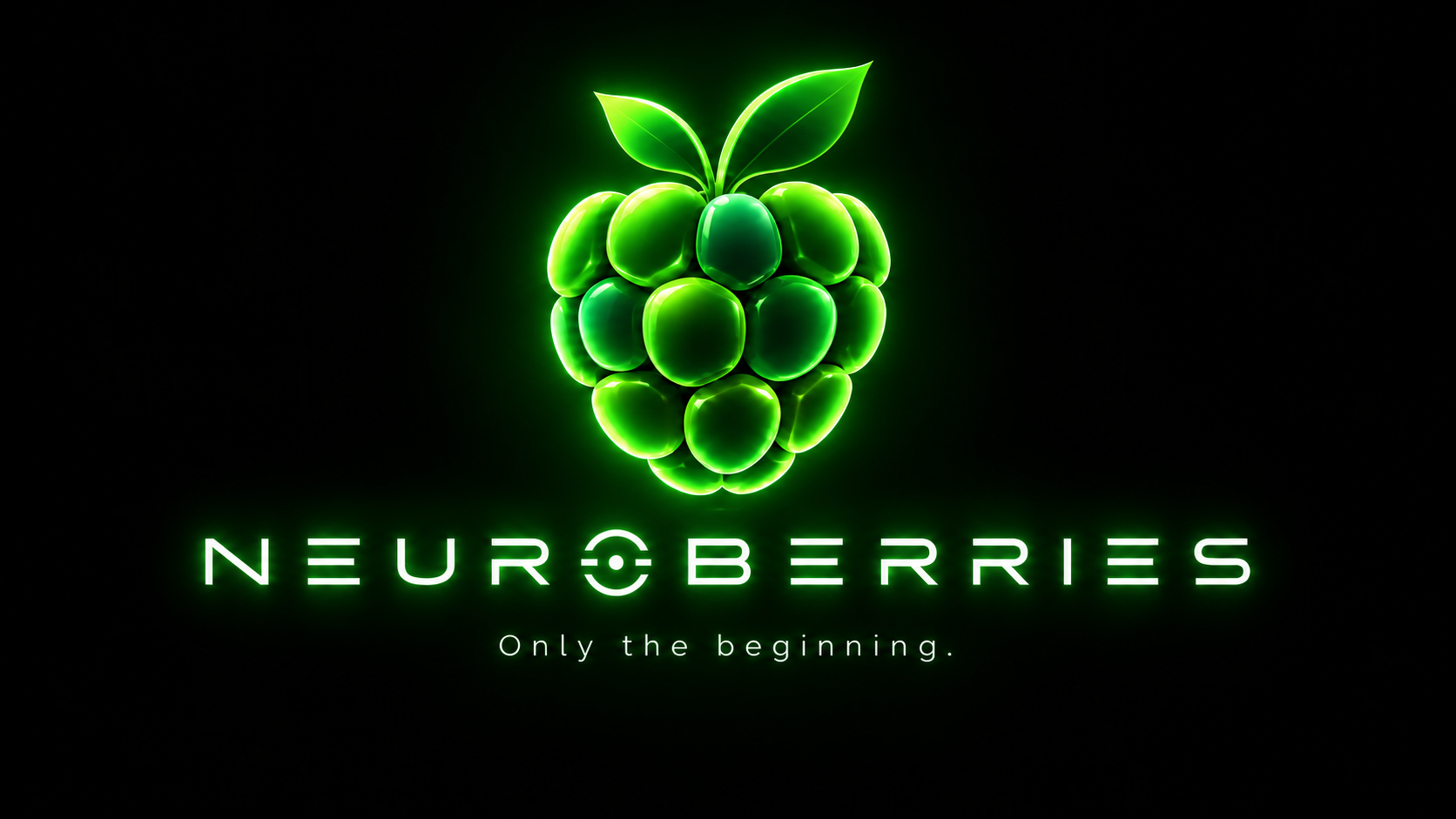 Neuroberries